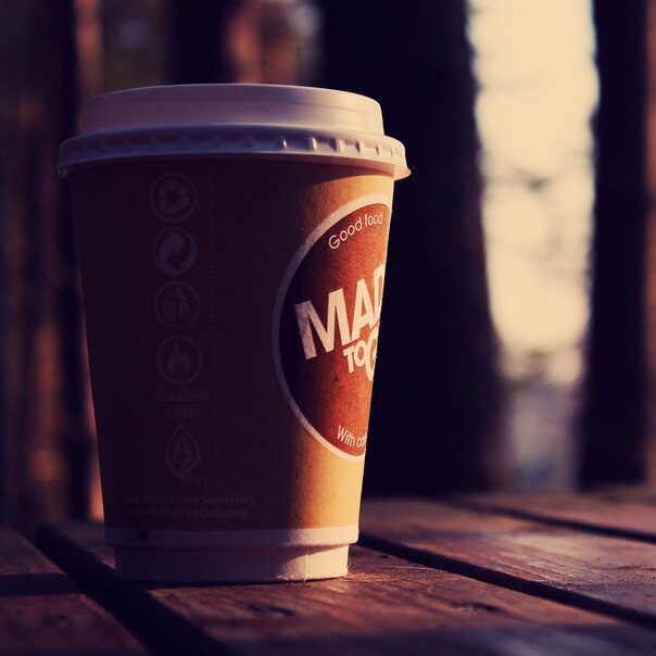 Кактус Классический