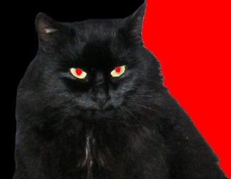 Поэт И Цензор