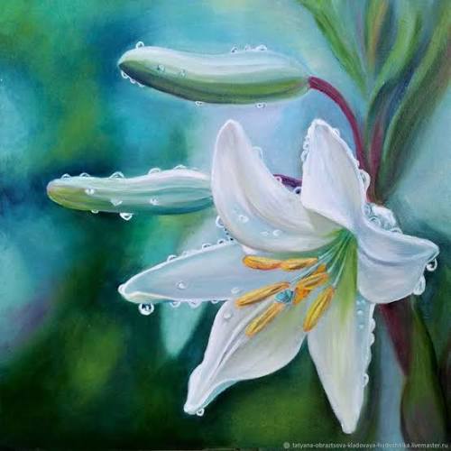 ����� ����