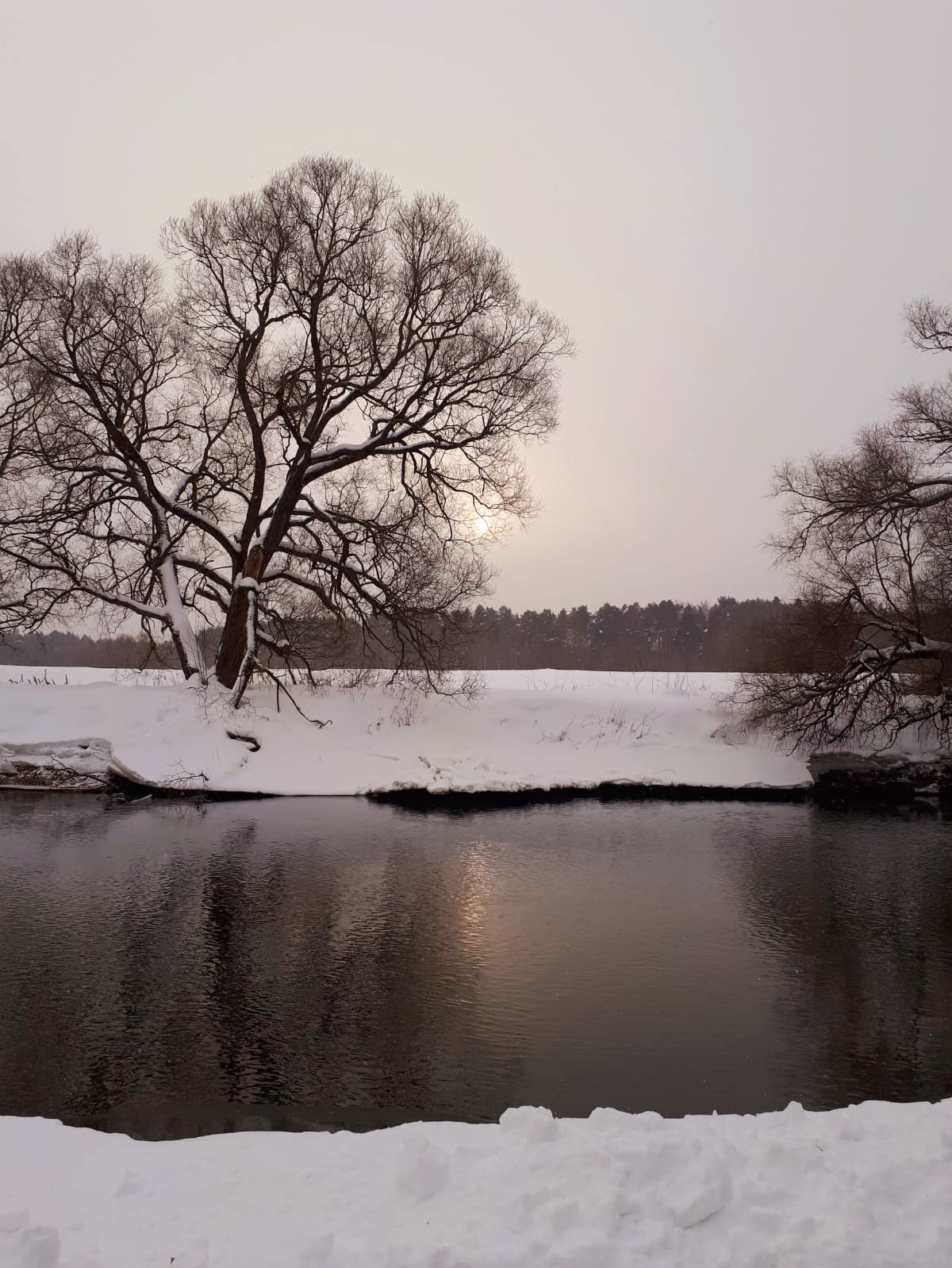 ������ ���������