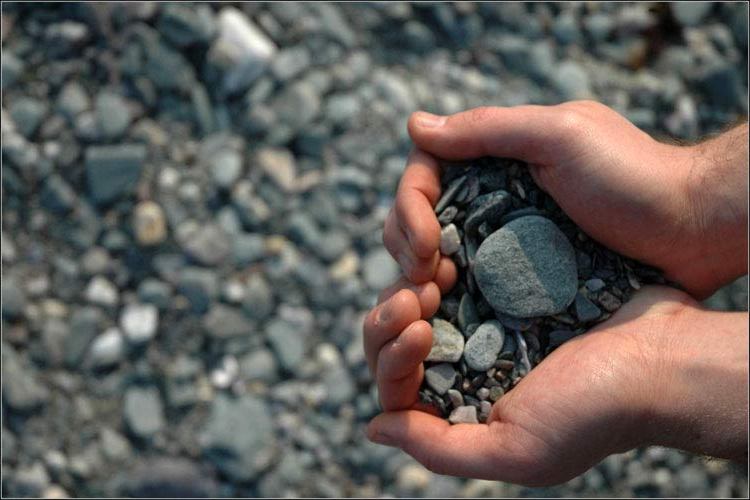 ������� �������