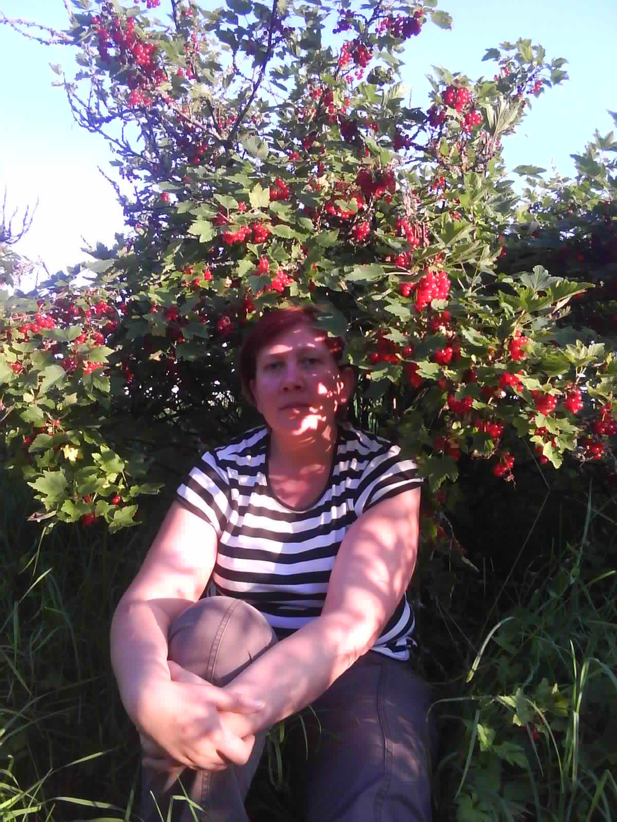 �������� �������