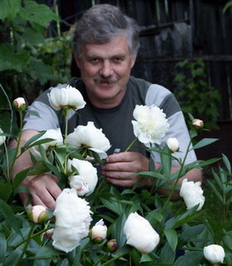 Lyamaev