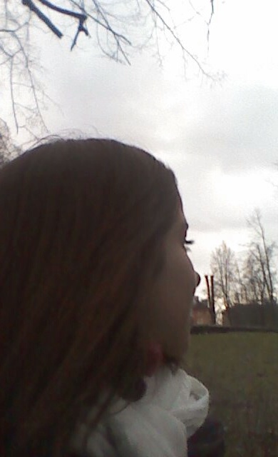 ����� ���������