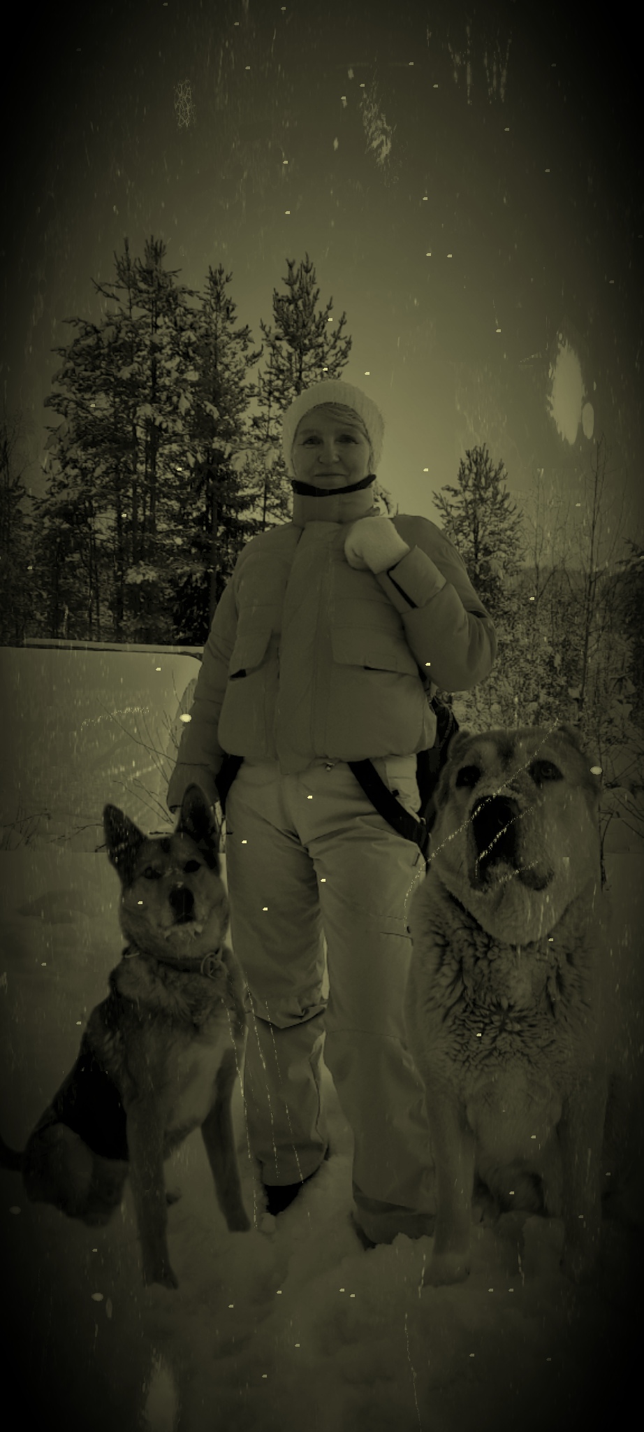 Оксана Воронюк