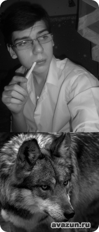 ���� �������