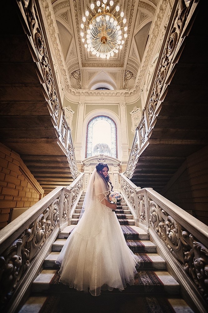 ����� �������� ��������