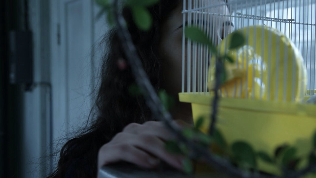 ���� �������