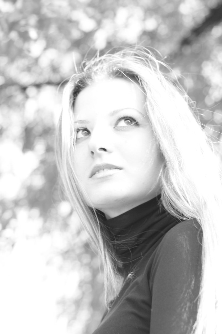 ���� ����