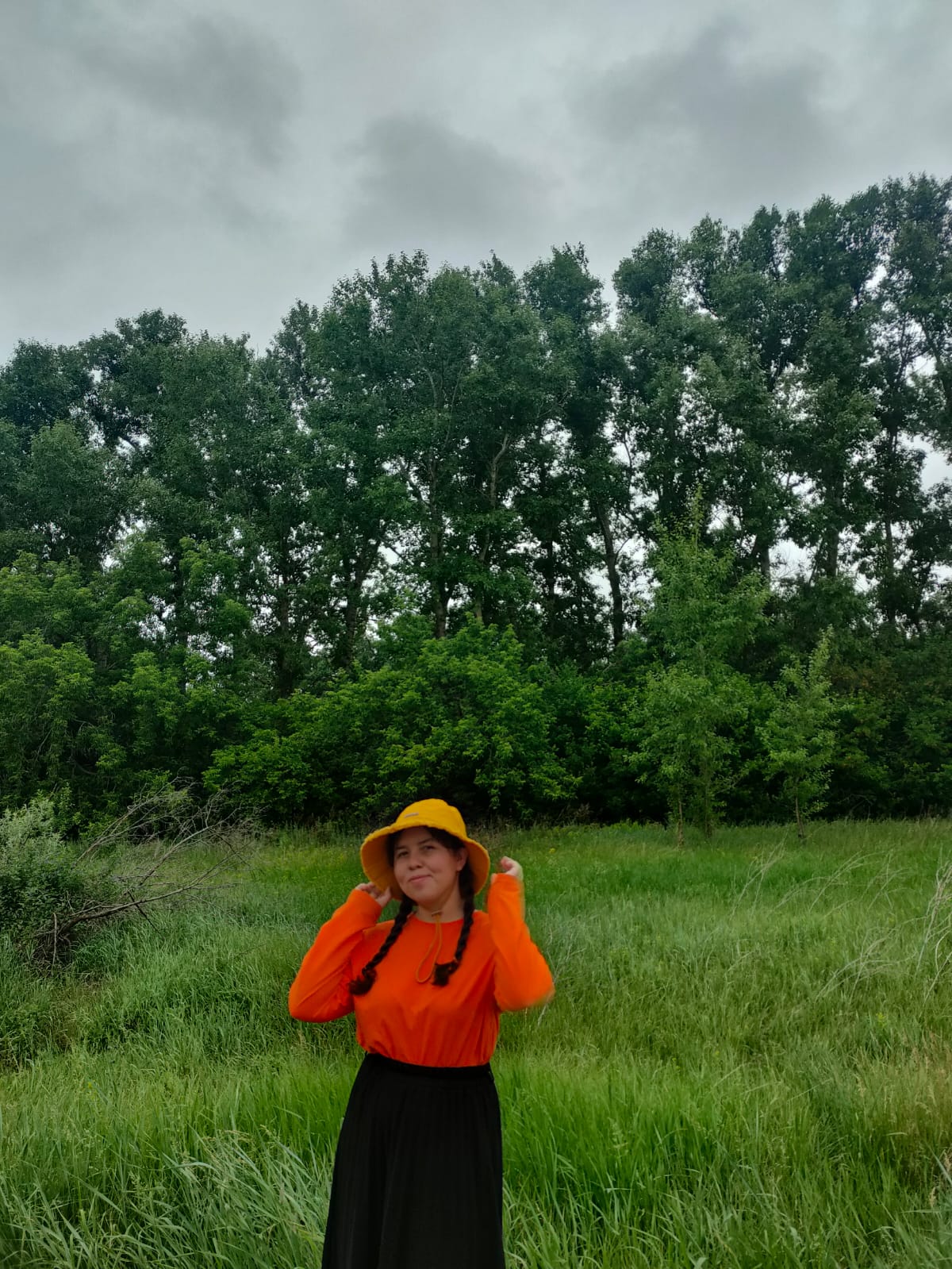 ������� ���������