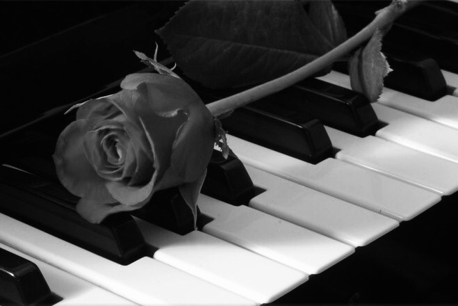 ���� �������