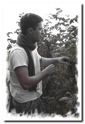 ���� �����