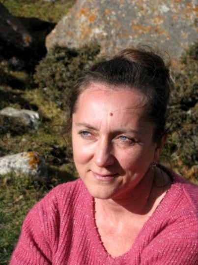 ���� ���������