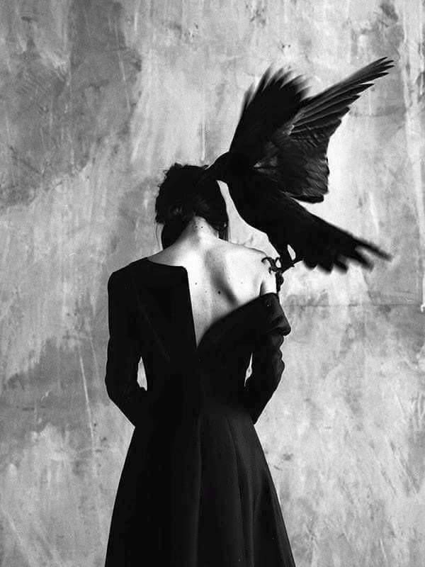 ��� ����������