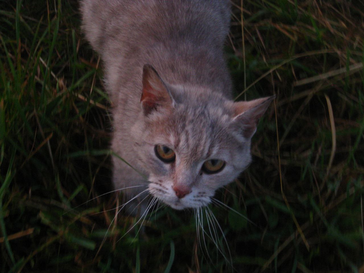 ������ ��������� ��������