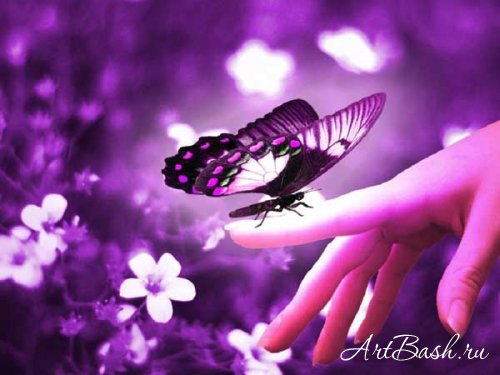 ���� ���������