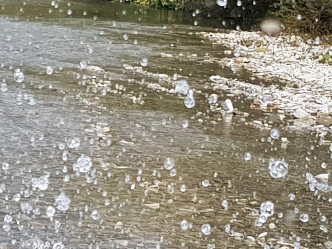 Нина Шунькина