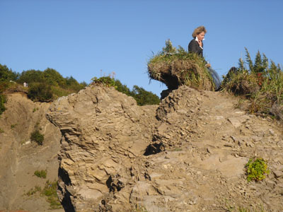 �������