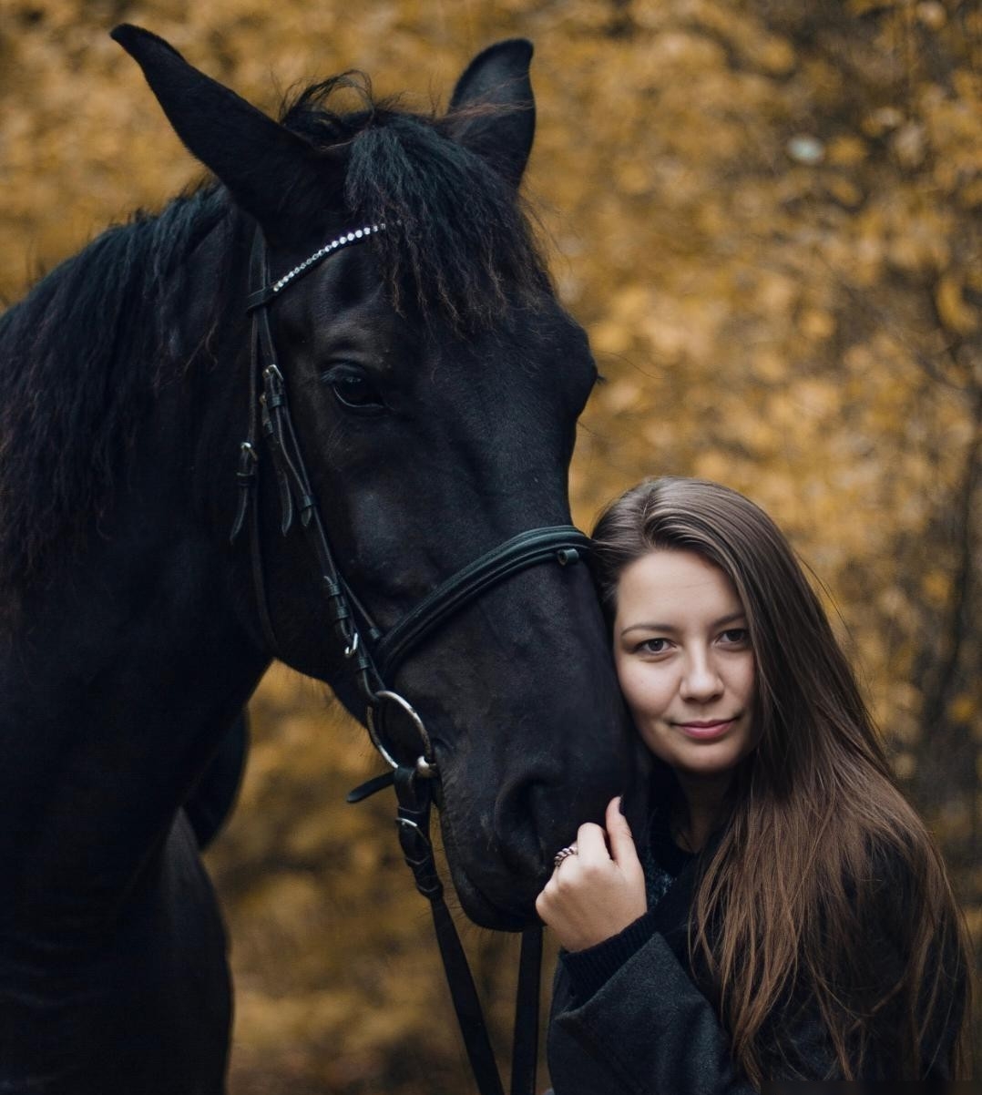 ����� ����������