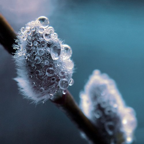 ���� �������