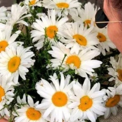 Прокудина Надежда