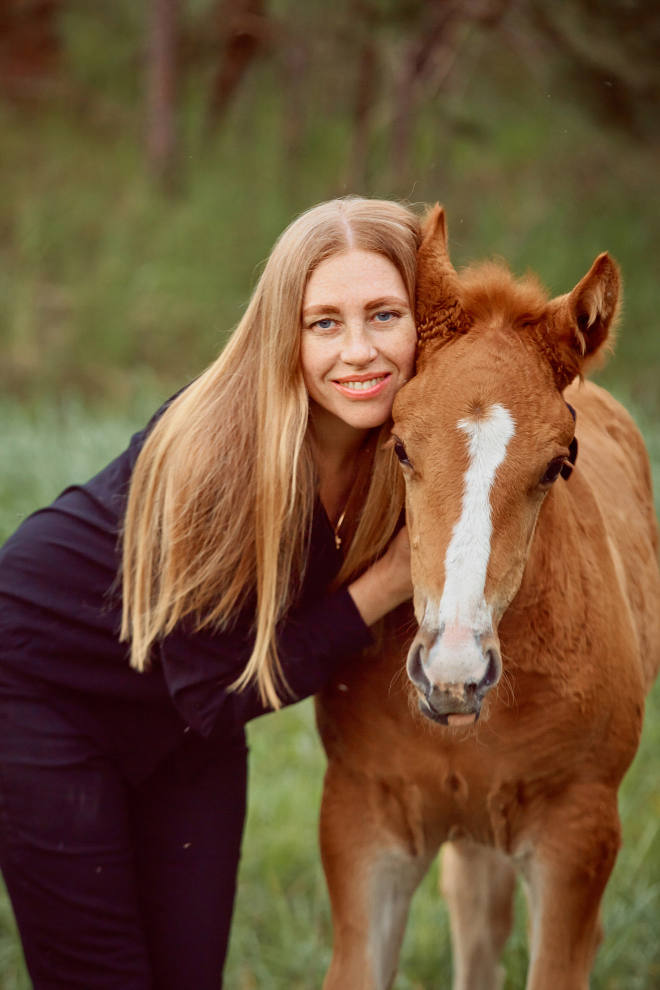 ������� ���������