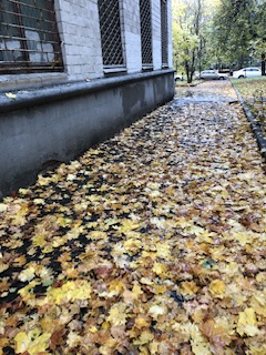 ������� ����������