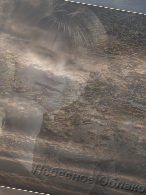 �������� ������