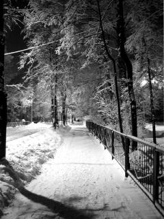 ����� �����������