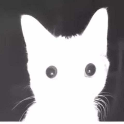 Никодим Чашинов