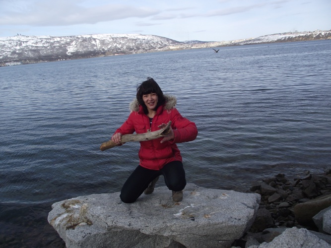 ������ ������