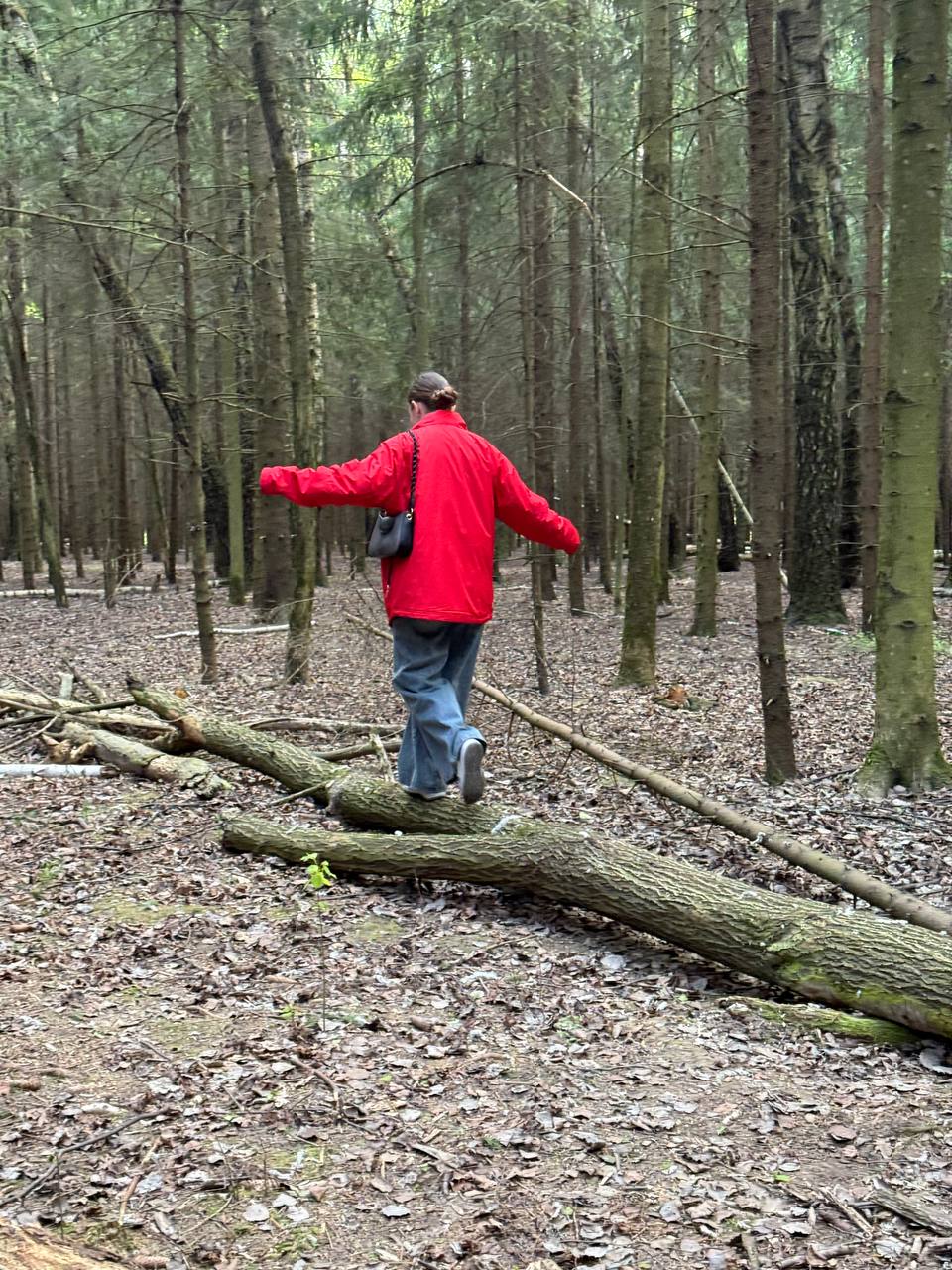 ���� ���������