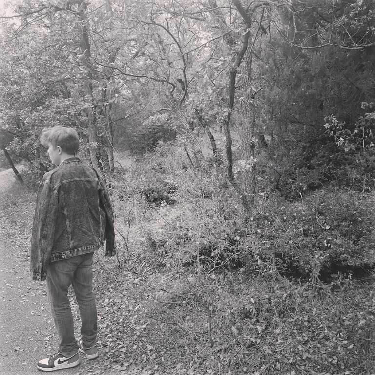 ������� ������ ��������