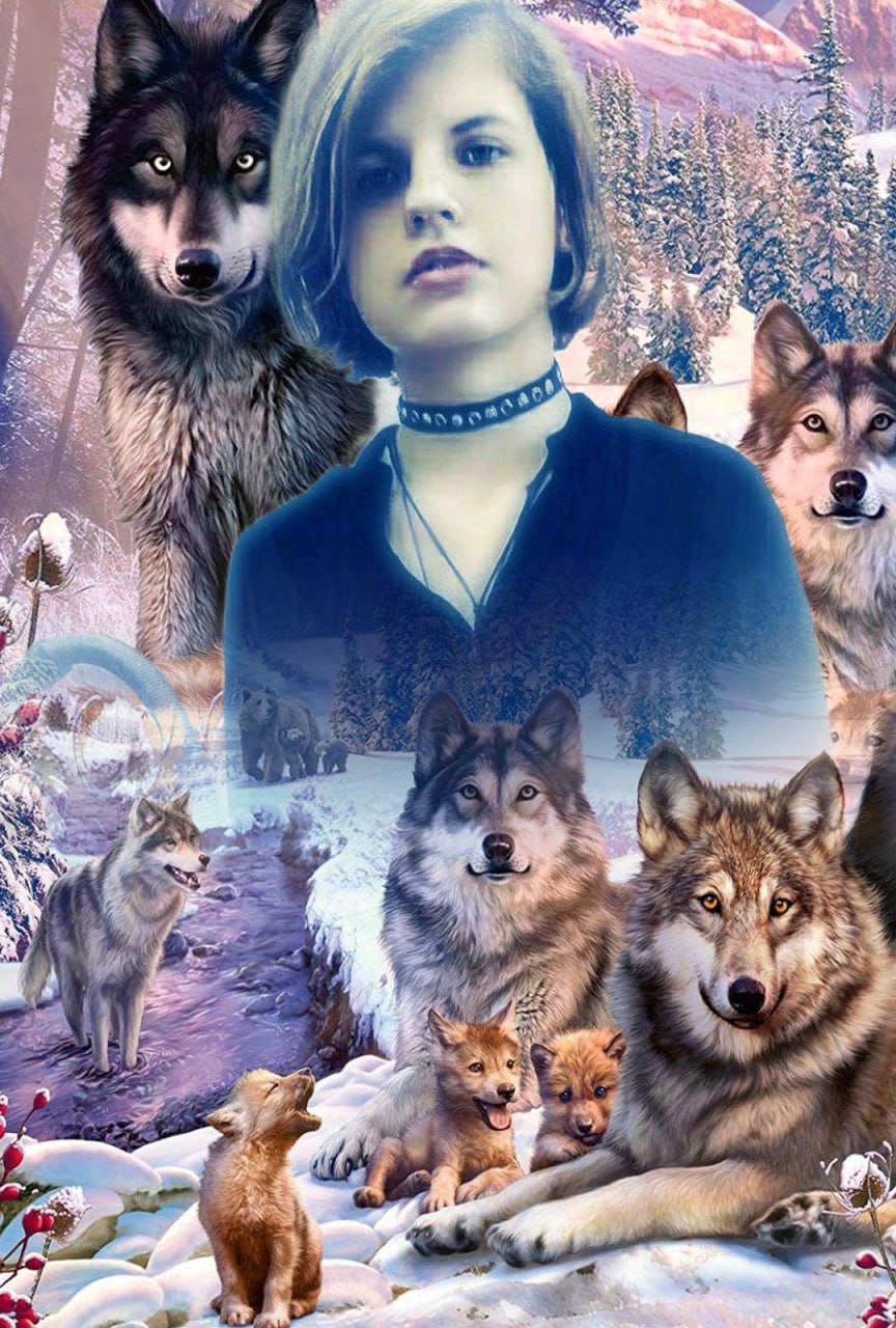 ����� ����