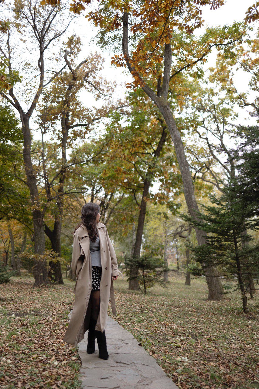 �������� �������