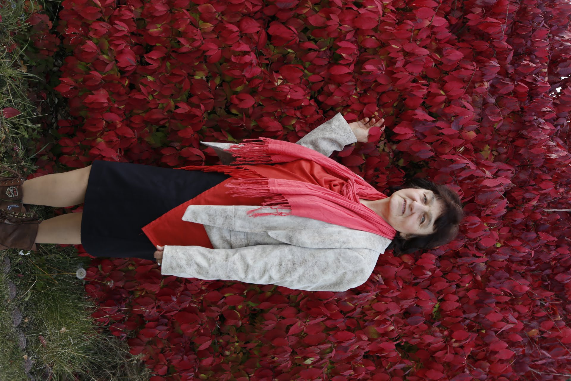 ����� ������