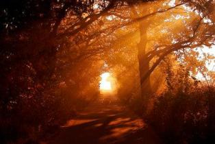 Идущий К Свету