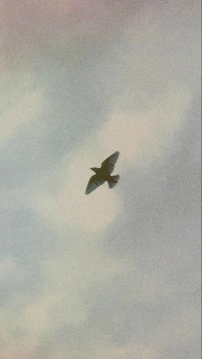 Даниил Рублев