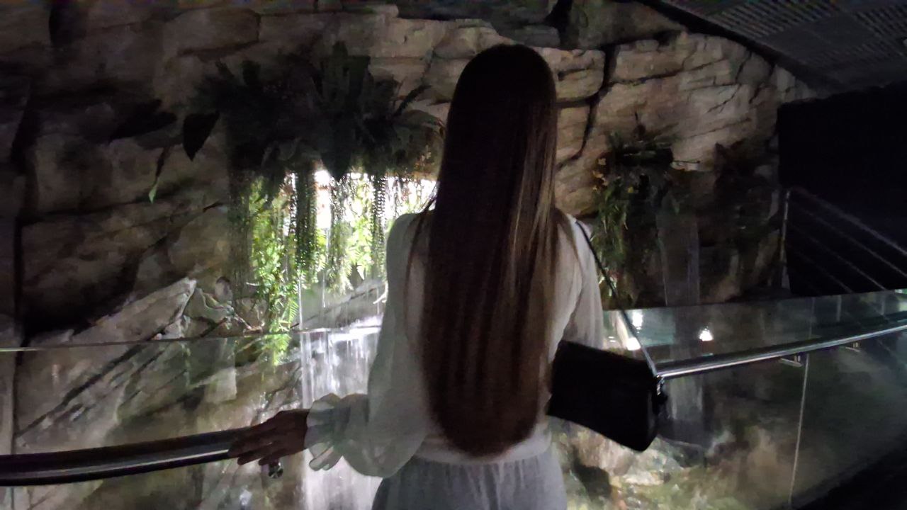 ��������� ���������