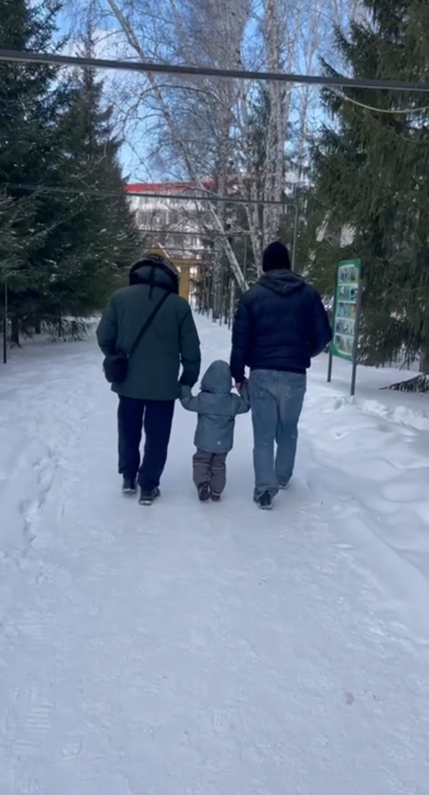 ���� ��������� 55