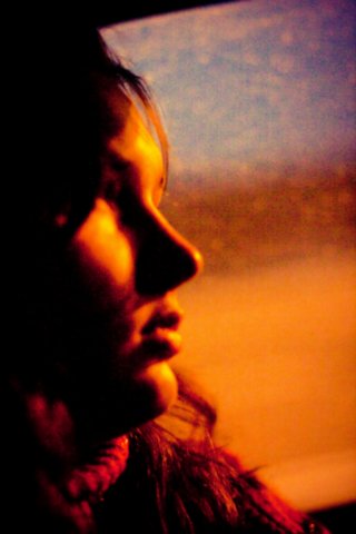 ���� �������