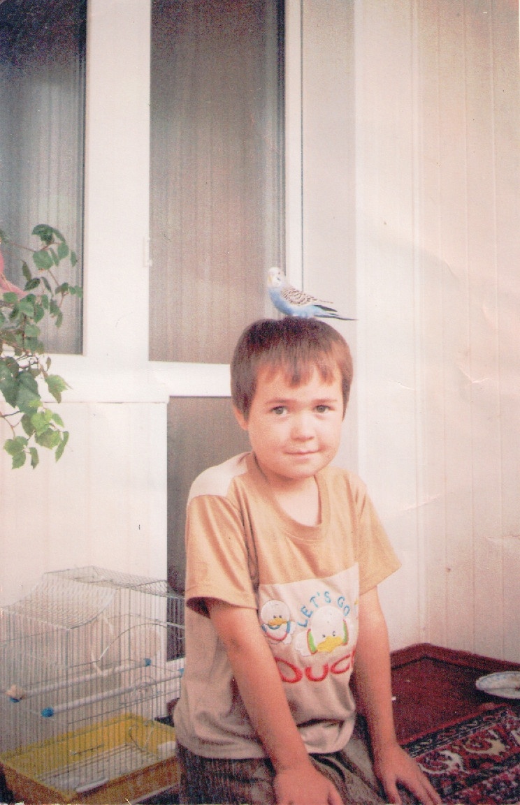 ����� �������