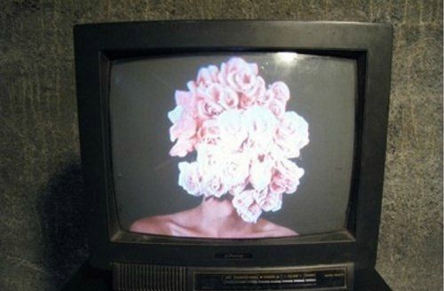 ���� ����