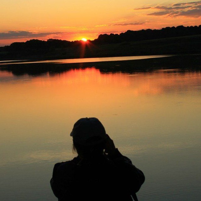 ����� ������� -��������