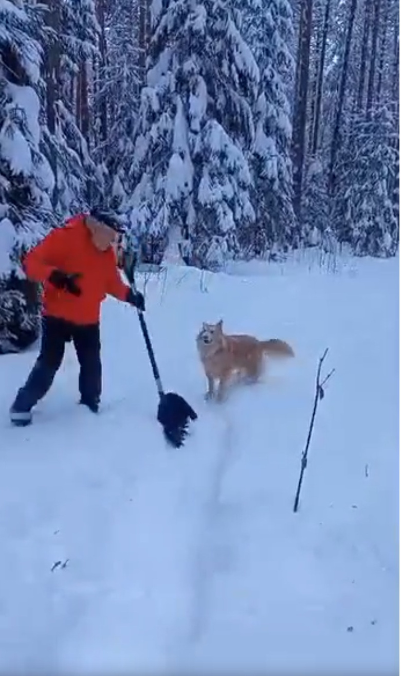 �������� �������� ������