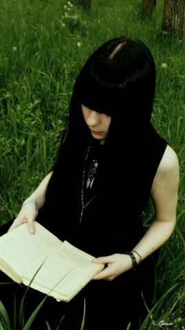 ������ �����