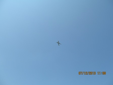 Вас Приглашает Птица Счастья