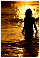 ���� �������