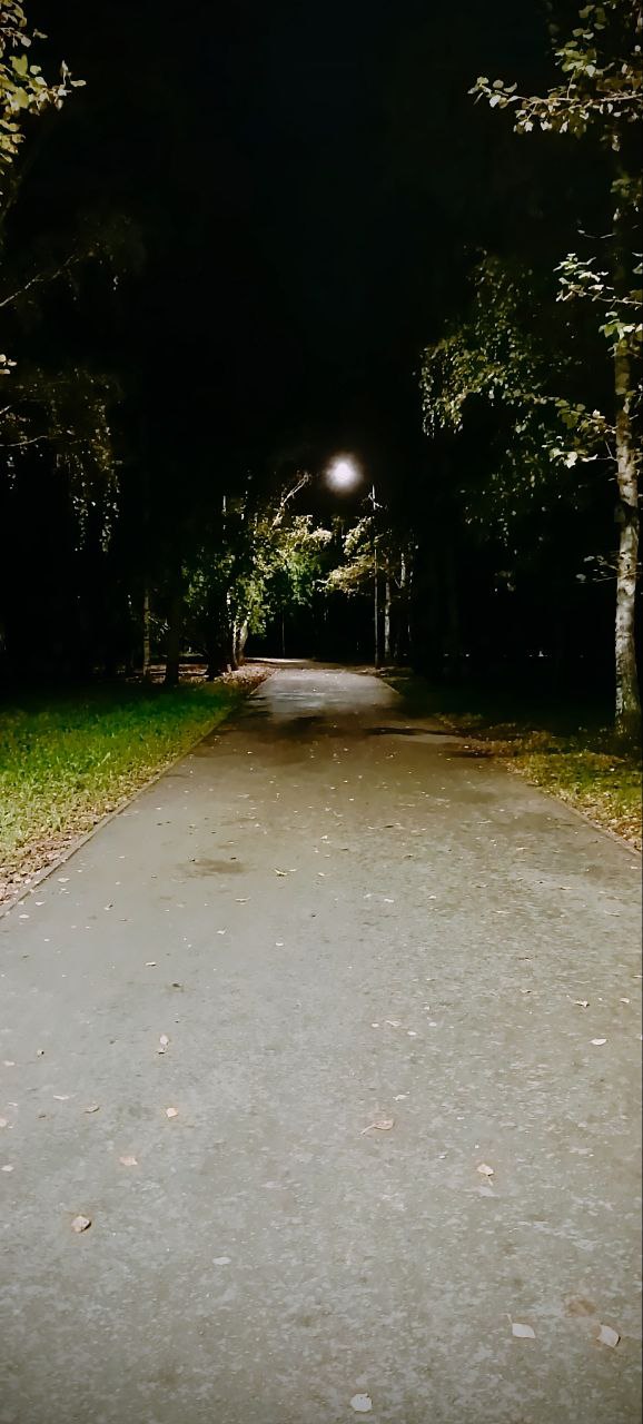 ����� �������