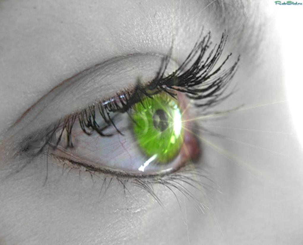 ������ ��������